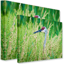 Gallery Wrap 1.25" Standard Series - Printfinishing