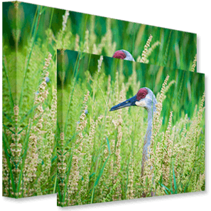 Gallery Wrap 1.25" Standard Series - Printfinishing